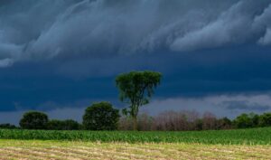 Monsoon: मानसून में क्या करें, क्या न करे, जानिए कुछ योग्य बातें